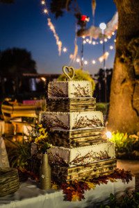 Orlando Wedding Photographer SugarPop Films