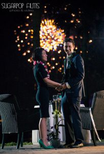 firework proposal, engagement