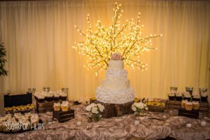 barn wedding cake and cupcakes