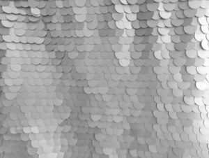 Silver Sequin